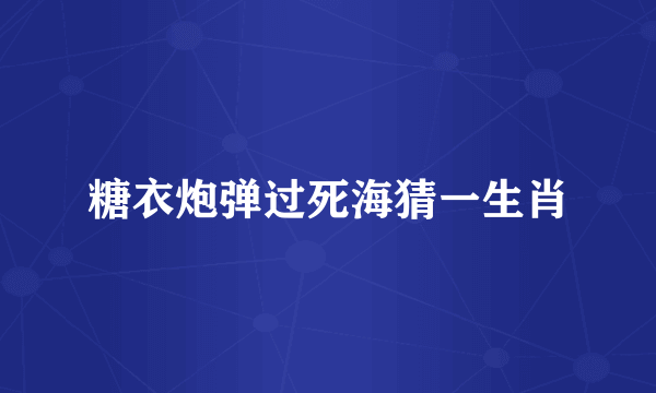 糖衣炮弹过死海猜一生肖