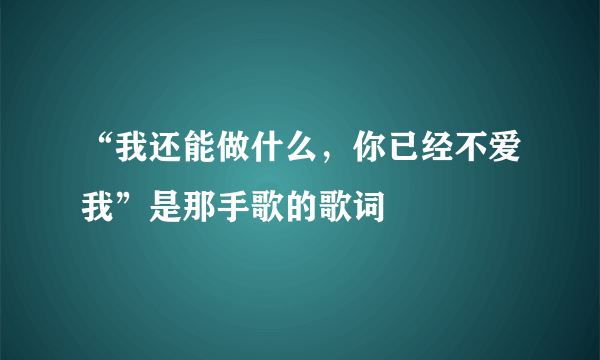 “我还能做什么，你已经不爱我”是那手歌的歌词