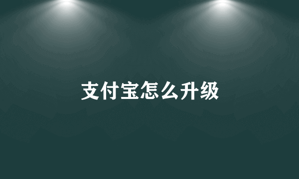 支付宝怎么升级