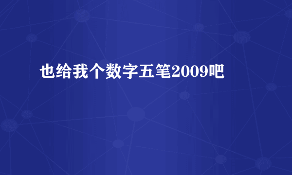 也给我个数字五笔2009吧