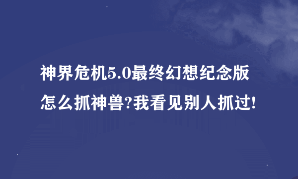 神界危机5.0最终幻想纪念版怎么抓神兽?我看见别人抓过!