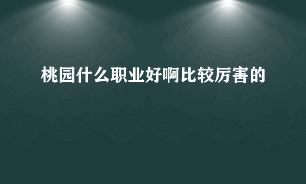 桃园什么职业好啊比较厉害的