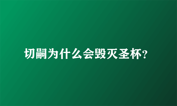 切嗣为什么会毁灭圣杯？