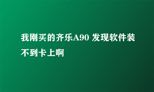 我刚买的齐乐A90 发现软件装不到卡上啊