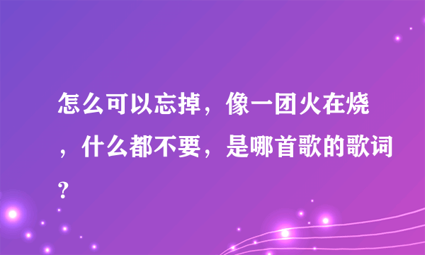 怎么可以忘掉，像一团火在烧，什么都不要，是哪首歌的歌词？