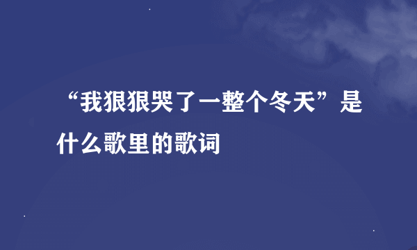 “我狠狠哭了一整个冬天”是什么歌里的歌词