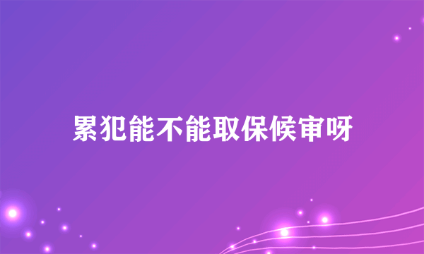 累犯能不能取保候审呀