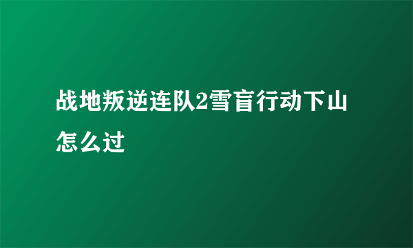 战地叛逆连队2雪盲行动下山怎么过