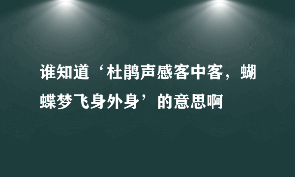 谁知道‘杜鹃声感客中客，蝴蝶梦飞身外身’的意思啊