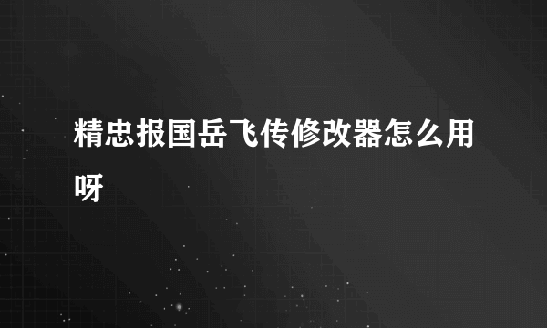 精忠报国岳飞传修改器怎么用呀