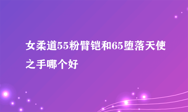 女柔道55粉臂铠和65堕落天使之手哪个好