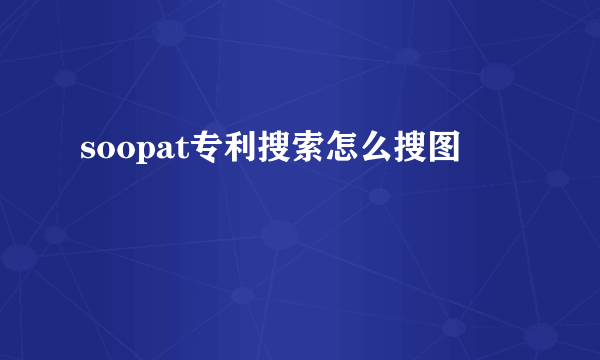 soopat专利搜索怎么搜图