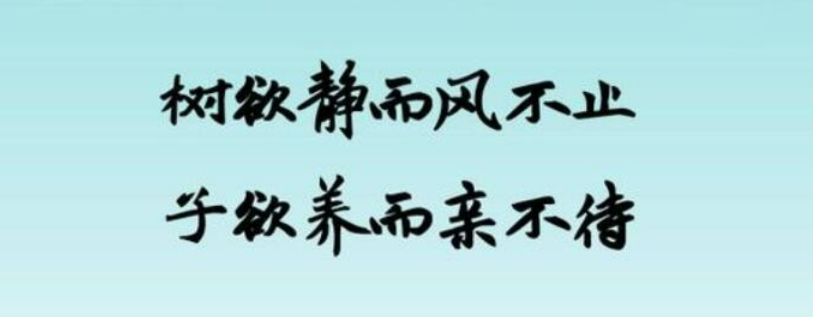 “树欲静而风不止，子欲孝而亲不待”什么意思？