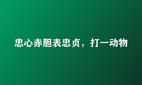 忠心赤胆表忠贞，打一动物