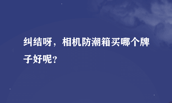 纠结呀，相机防潮箱买哪个牌子好呢？