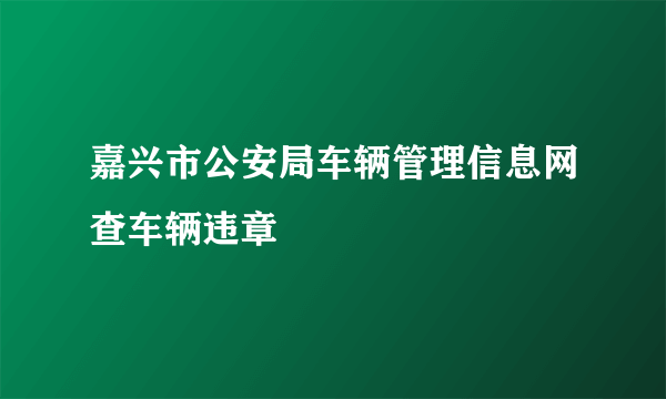 嘉兴市公安局车辆管理信息网查车辆违章