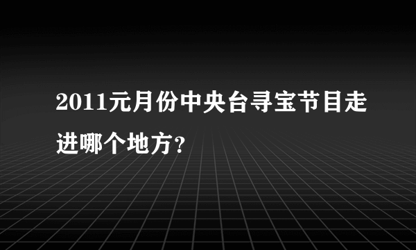 2011元月份中央台寻宝节目走进哪个地方？