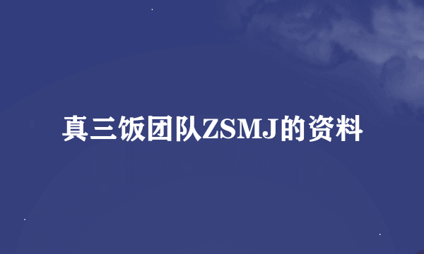 真三饭团队ZSMJ的资料