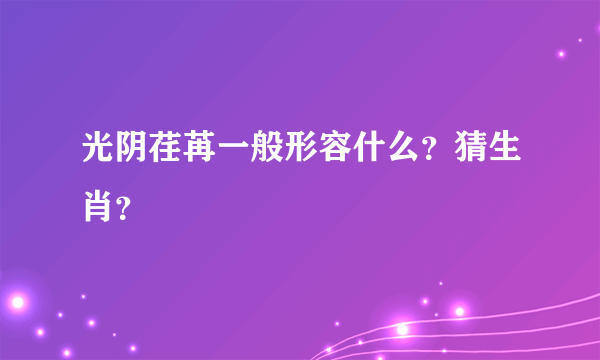 光阴荏苒一般形容什么？猜生肖？