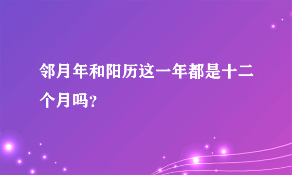 邻月年和阳历这一年都是十二个月吗？