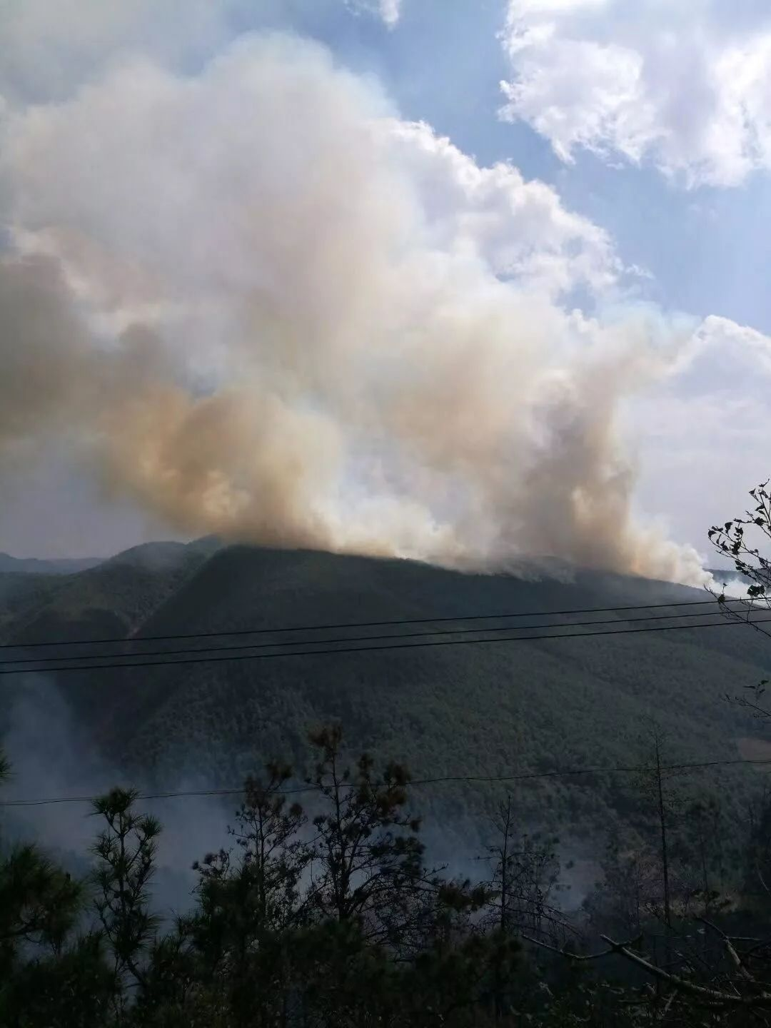 大理市5小时内两地突发山火，凤仪火场复燃火势较大，山火的危害有哪些？