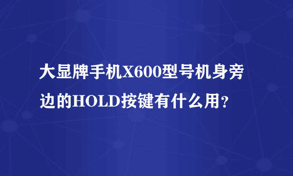 大显牌手机X600型号机身旁边的HOLD按键有什么用？