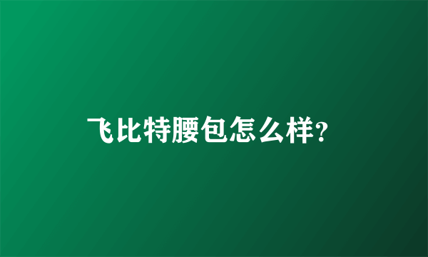 飞比特腰包怎么样？