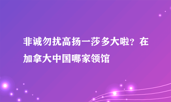 非诚勿扰高扬一莎多大啦？在加拿大中国哪家领馆