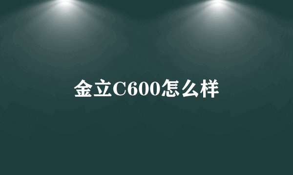 金立C600怎么样