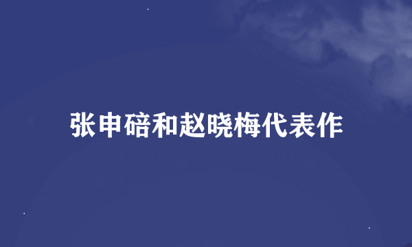 张申碚和赵晓梅代表作