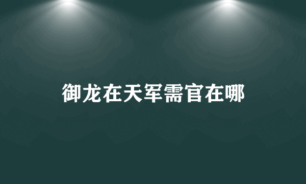 御龙在天军需官在哪