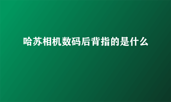 哈苏相机数码后背指的是什么