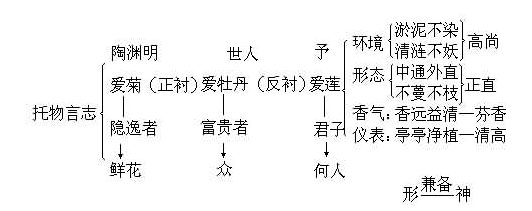 文章结构上的特点有那些？