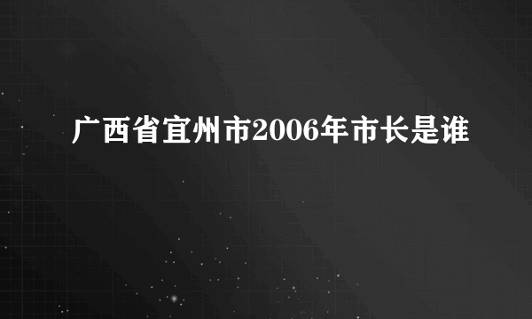 广西省宜州市2006年市长是谁