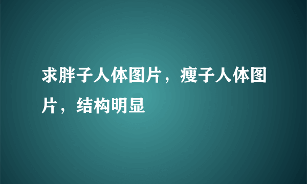 求胖子人体图片，瘦子人体图片，结构明显