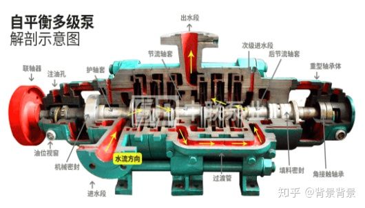 水泵的结构组成？