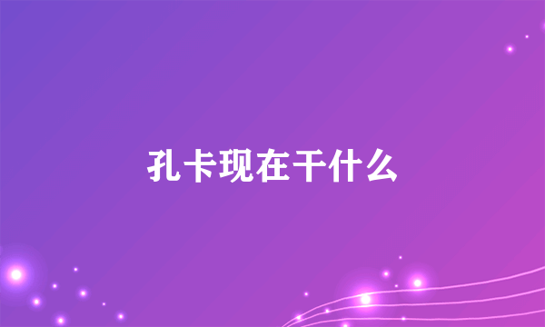 孔卡现在干什么