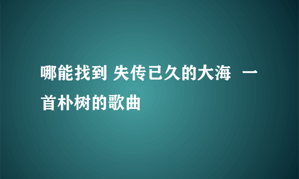 哪能找到 失传已久的大海  一首朴树的歌曲