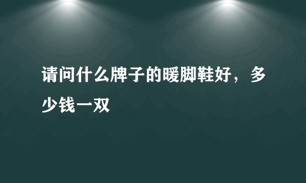 请问什么牌子的暖脚鞋好，多少钱一双