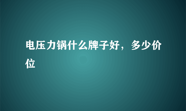 电压力锅什么牌子好，多少价位