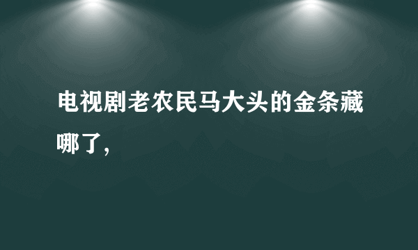 电视剧老农民马大头的金条藏哪了,