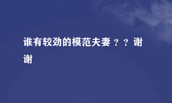 谁有较劲的模范夫妻 ？？谢谢