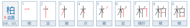 柏组词怎么组