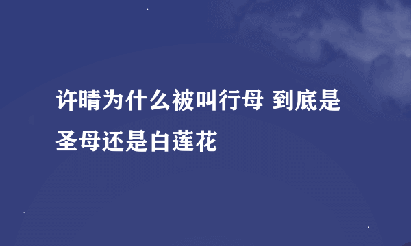 许晴为什么被叫行母 到底是圣母还是白莲花