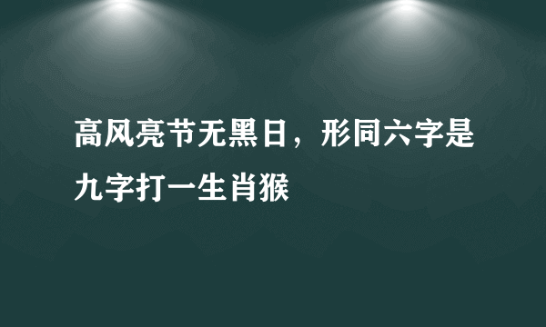 高风亮节无黑日，形同六字是九字打一生肖猴