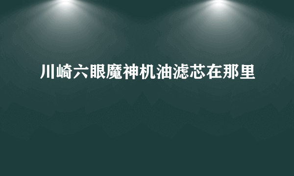 川崎六眼魔神机油滤芯在那里