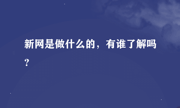 新网是做什么的，有谁了解吗？