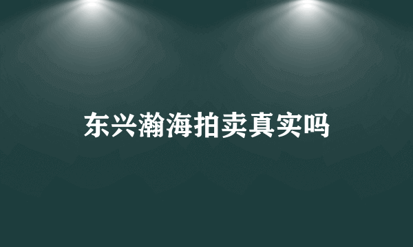 东兴瀚海拍卖真实吗