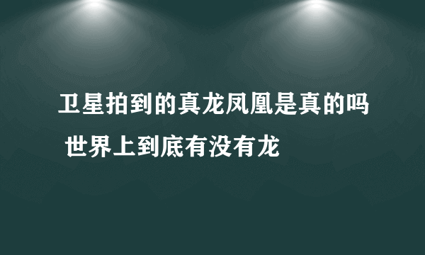 卫星拍到的真龙凤凰是真的吗 世界上到底有没有龙