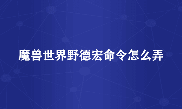 魔兽世界野德宏命令怎么弄